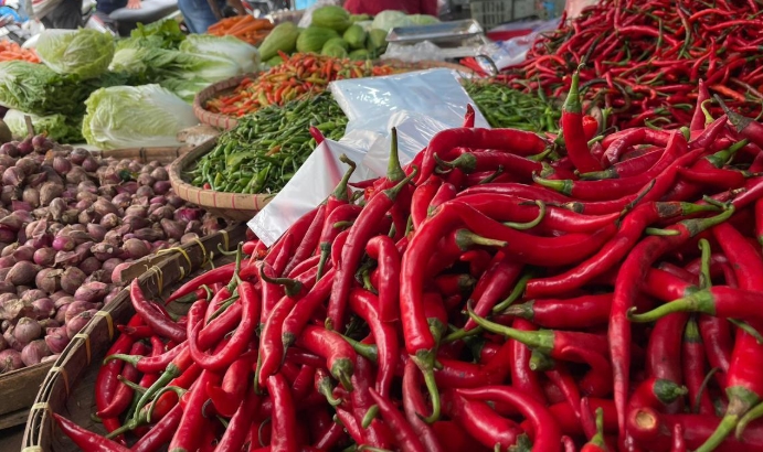 Read more about the article Harga Pangan Pada Hari Ini 7 Februari 2026: Cabai Rawit Merah Sentuh Rp 72.500 per Kg